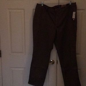Dressbarn pants. Size 22w. Brownish tan. NWT!